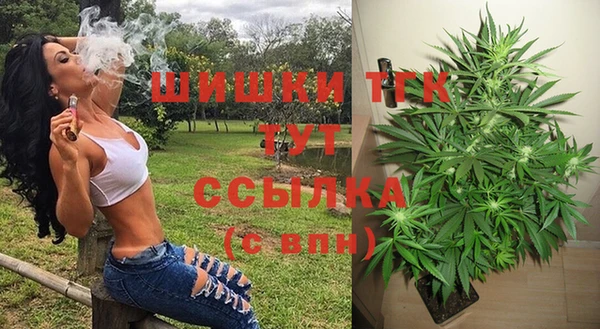 МДПВ Инта