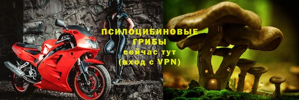 МДПВ Инта