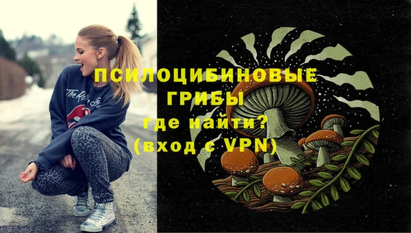 МДПВ Инта