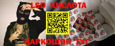дмт Кинель