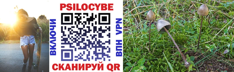 гидра рабочий сайт  Топки  Галлюциногенные грибы Cubensis  как найти  