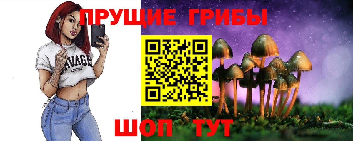 Псилоцибиновые грибы Cubensis  сколько стоит  Галлюциногенные грибы Magic Shrooms  Топки  Вход с VPN 